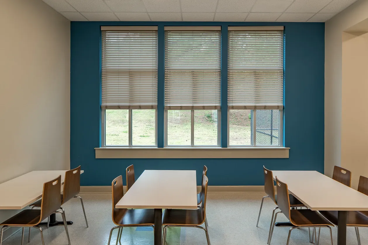 Fauxwood Blinds image 3